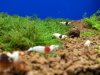 20120720_201027.jpg