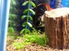 20120720_201242.jpg