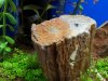 20120813_095425.jpg