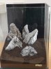 Variante 5 Stones.jpg Variante 5 Stones.jpg