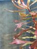 20120815_174341.jpg