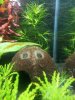 20120815_180640.jpg