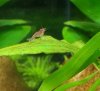 20120814_153454.jpg