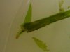IMG_20120816_183337.jpg