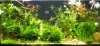 20120818.jpg