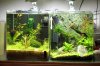 Aquarienregal1.jpg Aquarienregal1.jpg