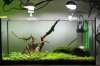 Aquarienregal2.jpg Aquarienregal2.jpg