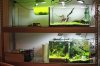 Aquarienregal3.jpg Aquarienregal3.jpg