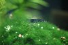 Aquarienregal5.jpg Aquarienregal5.jpg