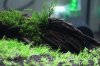 Aquarienregal6.jpg Aquarienregal6.jpg