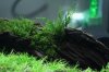 Aquarienregal8.jpg Aquarienregal8.jpg