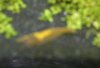 02102012479_1.jpg 02102012479_1.jpg