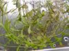 DSCN3810.JPG DSCN3810.JPG