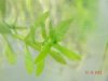 DSCN3812.JPG DSCN3812.JPG
