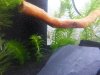 20121019_111913.JPG 20121019_111913.JPG