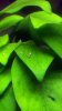 20121207_192815.jpg 20121207_192815.jpg