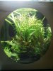 20121226_220713 (600x800).jpg