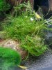 20121231_164031.jpg