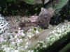 2013-01-04 07_17_15.jpg