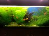 20121228_095734.jpg 20121228_095734.jpg