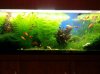 20121228_095804.jpg 20121228_095804.jpg