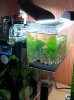 20130117_100350.jpg