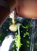 20130117_143723.jpg