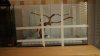 5-positioning-DSC06489.jpg