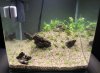 Aqua 230113.jpg Aqua 230113.jpg