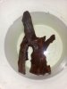 20130131_164031.jpg