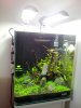 20130203_153404.jpg 20130203_153404.jpg