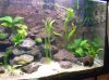 Aquarium2 .jpg Aquarium2 .jpg