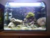 64l-Seewasser.jpg