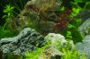 comp_IMG_2471.jpg