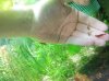Hand02.jpg