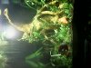 IMG_20130218_153821.jpg
