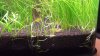 DSCF0553.JPG