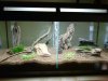 2013-02-21 20.04.51.jpg