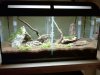 2013-02-21 20.04.38.jpg