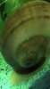 563465_508061345896717_686698970_n.jpg