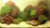 20130310 013 Moosbecken tag 1.jpg