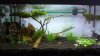 Aquarium 042.JPG Aquarium 042.JPG
