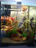DSC03871.jpg
