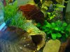 DSC03873.jpg