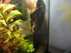 DSC03874.jpg