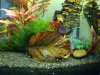 DSC03875.jpg