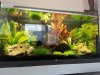 Becken_21.03.13.jpg