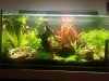 Becken_11.03.13.jpg