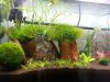 20130324_082831.geaendert.jpg 20130324_082831.geaendert.jpg