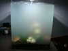 DSC03917.jpg
